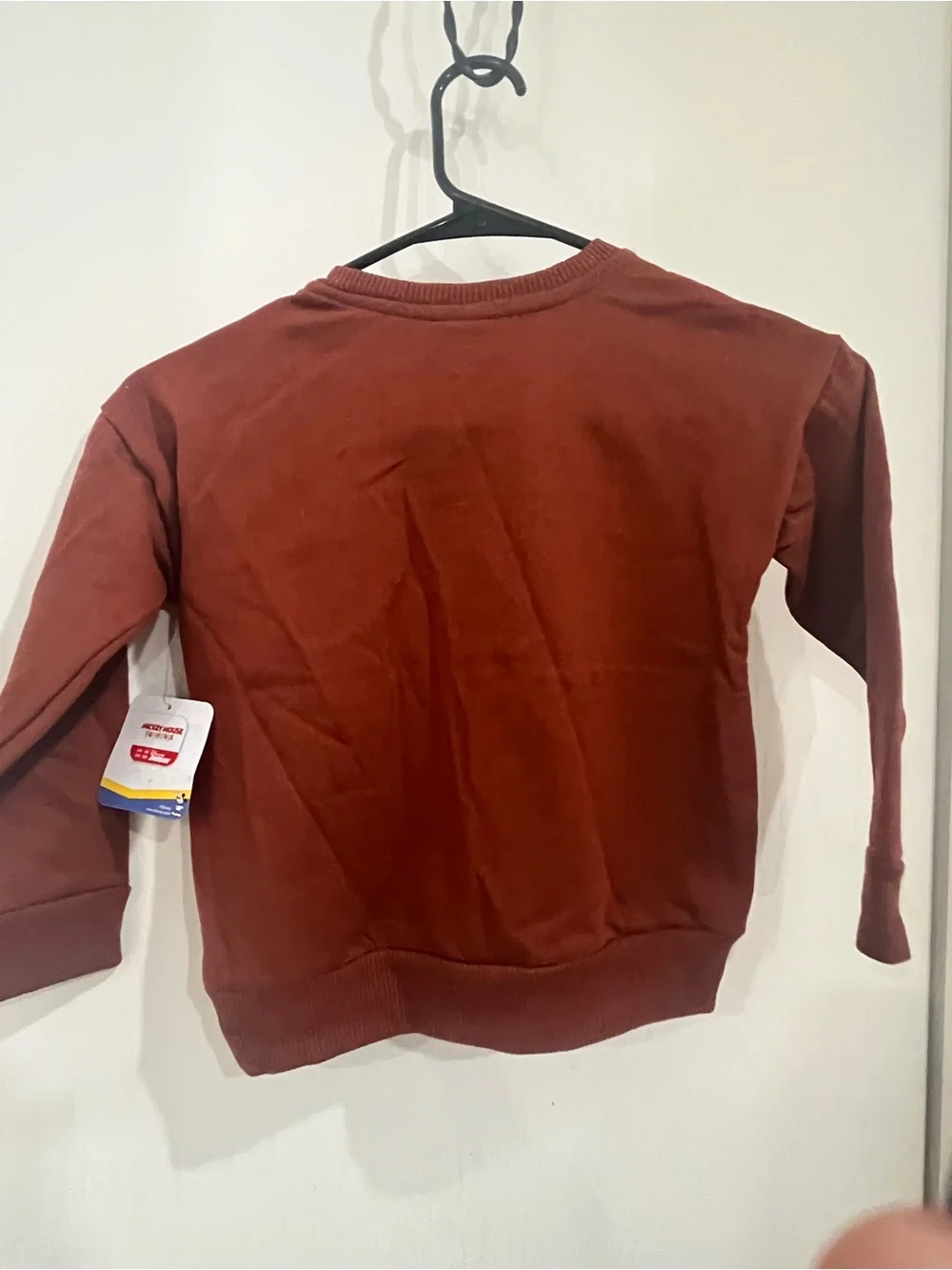 Bundle of 2 Rust Brown Mickey Graphic Sweatshirts - Disney Junior